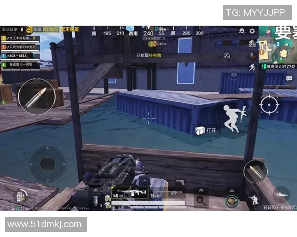 李娜揭秘和平精英成功秘诀与游戏背后的故事